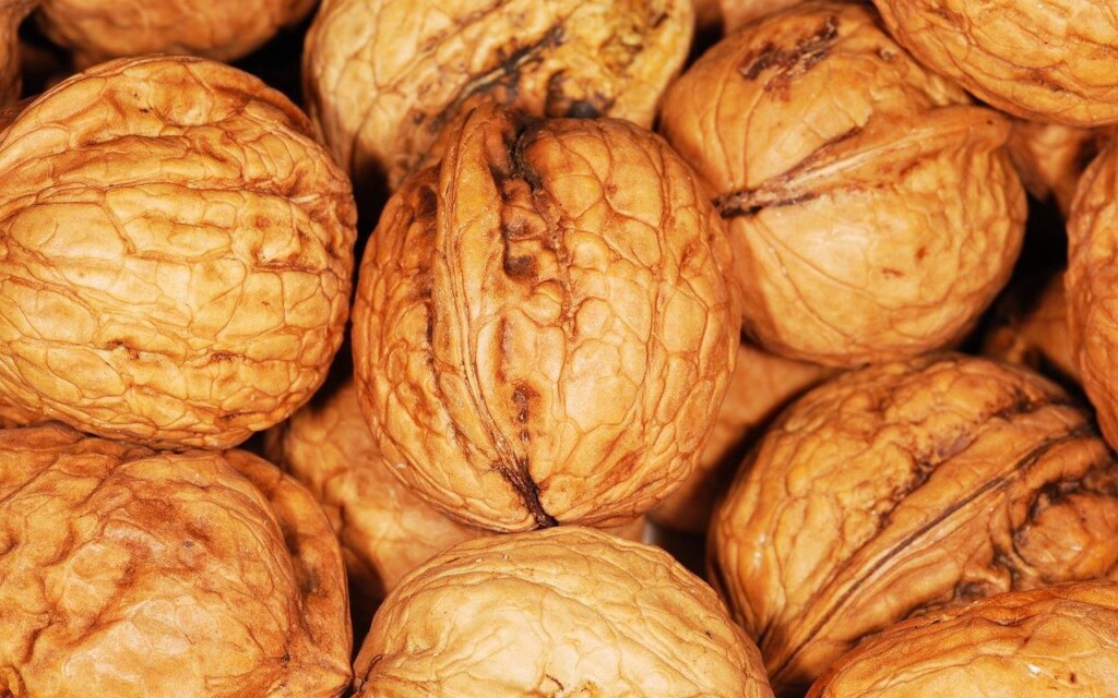 Co daje proteina i dlaczego warto ją uwzględnić w diecie?