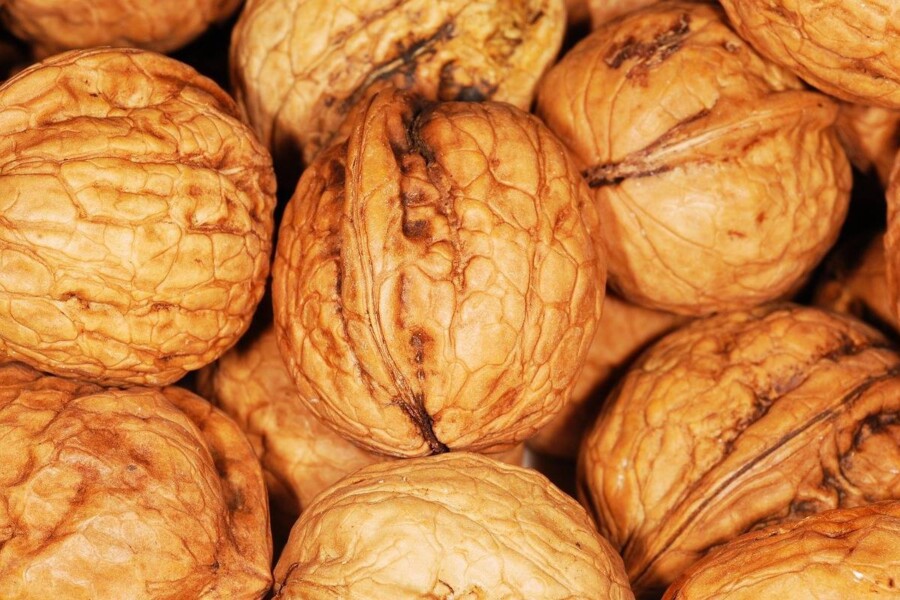 Co daje proteina i dlaczego warto ją uwzględnić w diecie?